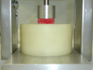 MDT using compression plunger to test a gumdrop candy.  This test protocol involved both creep strain deformation and constant-rate compression testing.