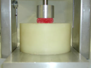 MDT using compression plunger to test a gumdrop candy. This test protocol involved both creep strain deformation and constant-rate compression testing.